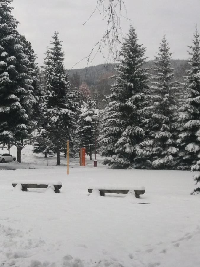 Hotel Ceska Farma Dolni Dvur Exterior foto