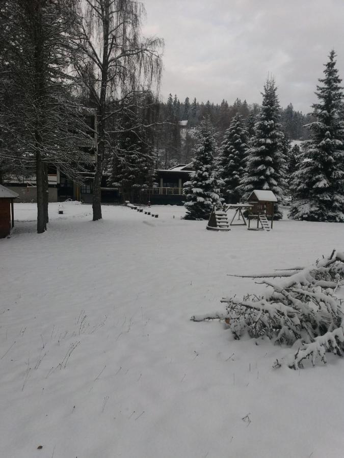 Hotel Ceska Farma Dolni Dvur Exterior foto